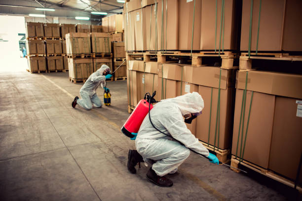 Best Bed Bug Extermination  in Summerville, SC