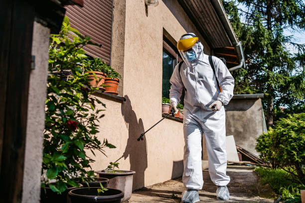 Best Mosquito Control Services  in Summerville, SC