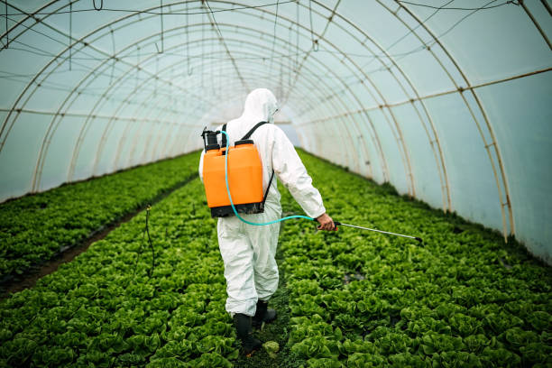 Best Mosquito Control Services  in Summerville, SC