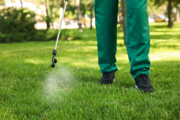 Best Affordable Pest Control Services  in Summerville, SC
