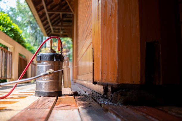 Best Cockroach Control Services  in Summerville, SC